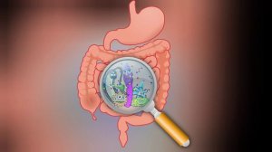 Почему урчит в животе?