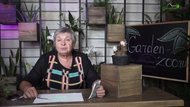 Хом описание и способ применения ✔️ Борьба с Фитофторой