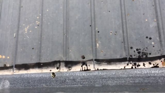 Бюджетный ремонт крыши балкона / Budget repair of the balcony roof смотреть онлайн