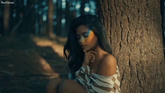 Schiller - I Feel You (Nikko Culture Remix)