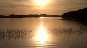 Алексей Петрухин и группа Губерни г Москва   В родных местах Колосится месяц   муз А Морозов   сл