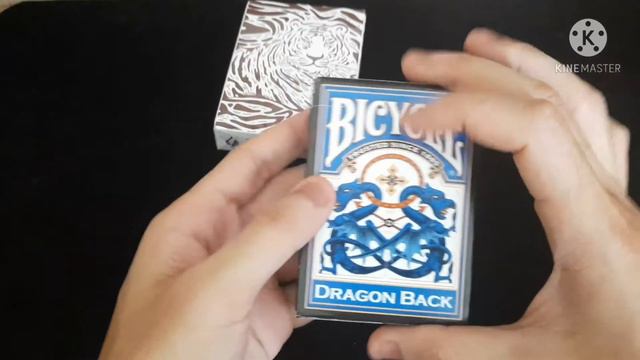 REVIEW bài bicycle ảo thuật : DRAGON BACK and THE HIDDEN KING / chúa tể sơn lâm và vua bầu trời смотреть онлайн