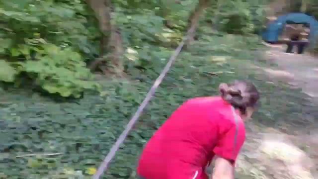 СОШ 20. Школа "Патриот" смотреть онлайн