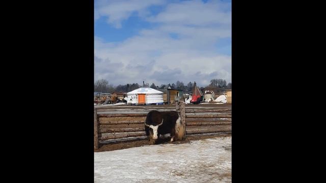 Этнопарки России, которые появились в 21 веке. Мой топ 10! смотреть онлайн