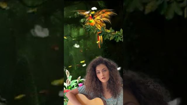 Город золотой смотреть онлайн