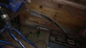 Зимовка пчёл. Мыши в улье! Как избавиться от мышей на пасеке