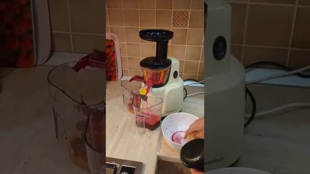 Соковыжималка шнековая MAUNFELD MF-931BG смотреть онлайн