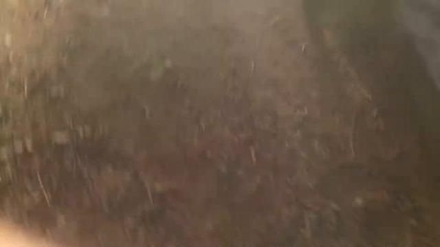 Данил снимает детскую площадку. смотреть онлайн