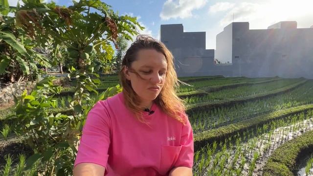 Землетрясение на Бали| Мы продаем благовония в 7 офлайн точках на Бали | Опыт випассаны смотреть онлайн