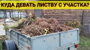 Куда девать ветки и листву с участка?