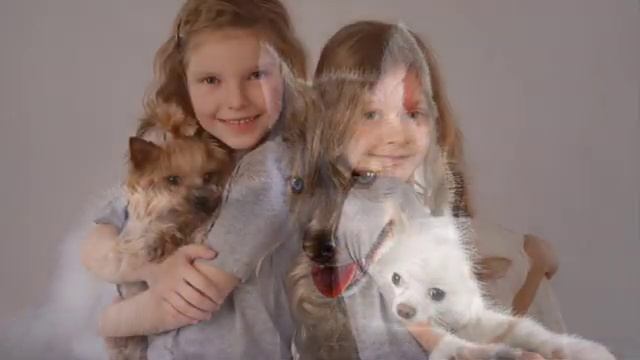 Псевдодуховность по отношению к животным