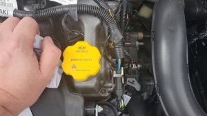 Масло купер