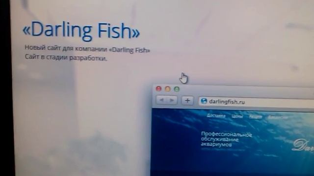 Создание продвижение раскрутка сайтов