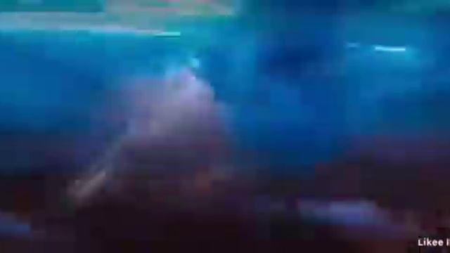 Chaqmoq mushuk смотреть онлайн