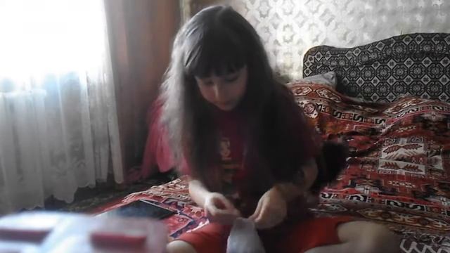 Уход и содержание чихуахуа мини смотреть онлайн