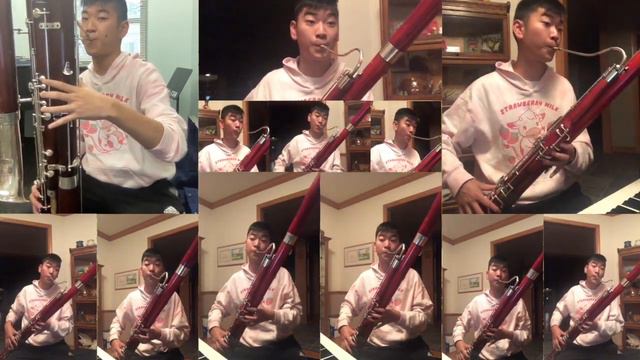 Daisy Circuit - Bassoon Cover смотреть онлайн