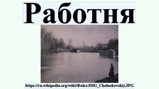 Conservation Paradise