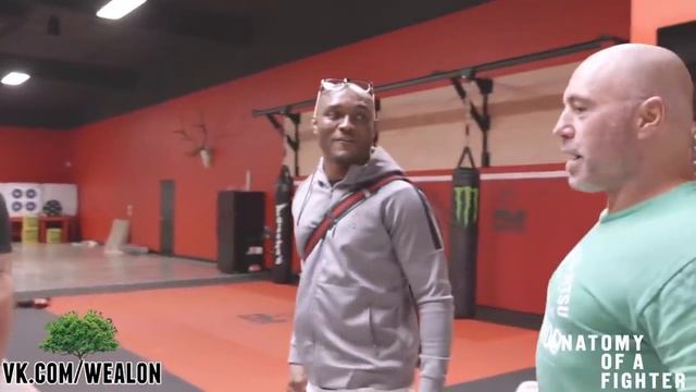 За кулисами подкаста Джо Рогана с Камару Усманом смотреть онлайн