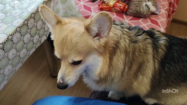 Супчик, как в детском саду