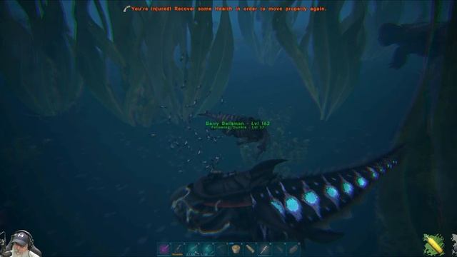 Ark Fjordur Map | E19 One Big Fluster Cluck! смотреть онлайн
