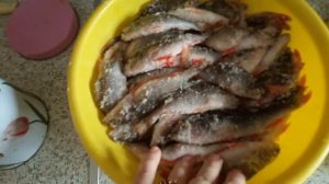 Простая засолка окуня для сушки на таранку