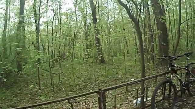 Заброшенная хрущевка в лесу смотреть онлайн