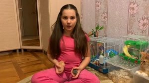 отличие джунгарского хомячка от сирийского