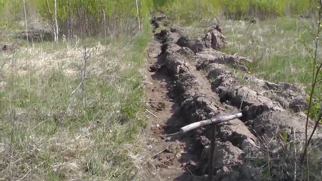 Посадка лесных культур Ели и Сосны. Сажаю лес, деревья... смотреть онлайн