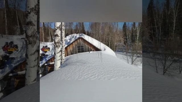 Снег таёжная пасека