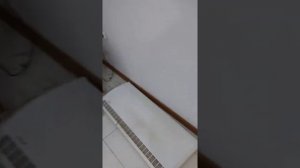 Пансионат«Эвкалиптовая роща» номер полулюкс, двухкомнатный .посёлок Кындыг. Абхазия