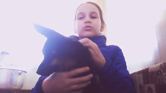 Как попросить родителей купить собаку смотреть онлайн