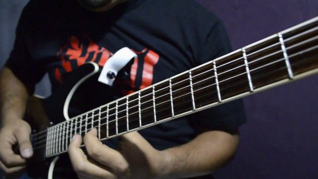 Among Disaster - Born From The Grave (Guitar Solo) IBANEZ MTM2 смотреть онлайн