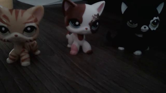 Было вчера мой день рождения ну и это LPS Непонятное смотреть онлайн