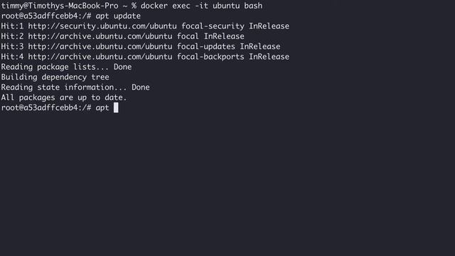 How to update Ubuntu OS and Ubuntu Docker Container смотреть онлайн
