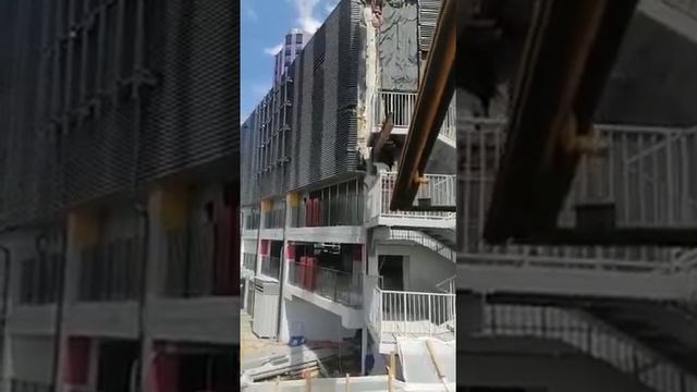 Монтаж лестницы в торговом центре смотреть онлайн