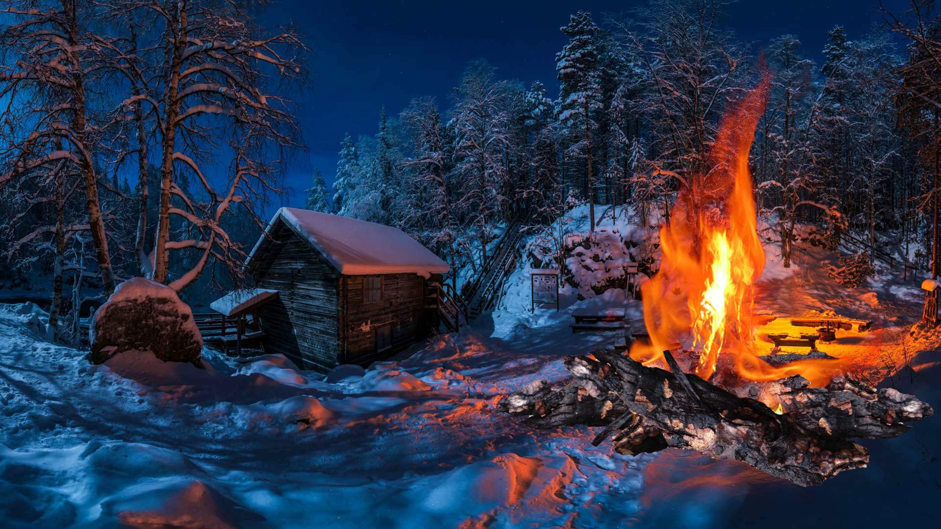 Звук Костра и Пение Птиц в Лесу / Звуки Природы Музыка для Сна / Ночью в Лесу смотреть онлайн