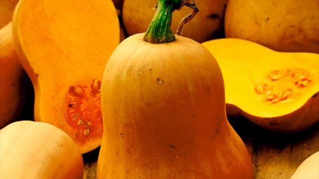 Butternut Squash by Round Lake Heartstrings смотреть онлайн