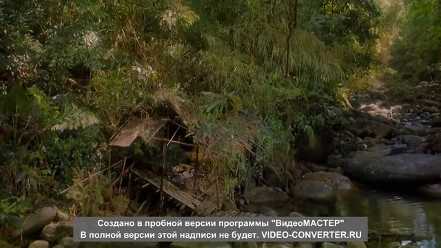 СУПЕР ВИДЕО. Букашки. Приключения в тропическом лесу. (Часть 1) смотреть онлайн