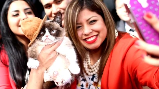 Самые богатые кошки смотреть онлайн