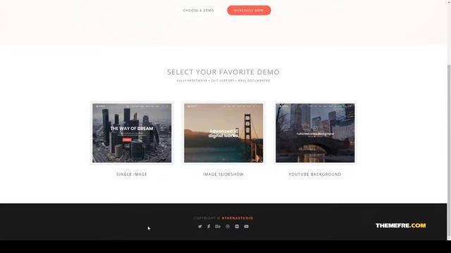 Angora - Responsive One Page Parallax WordPress Theme shortcode translation Website Builder смотреть онлайн
