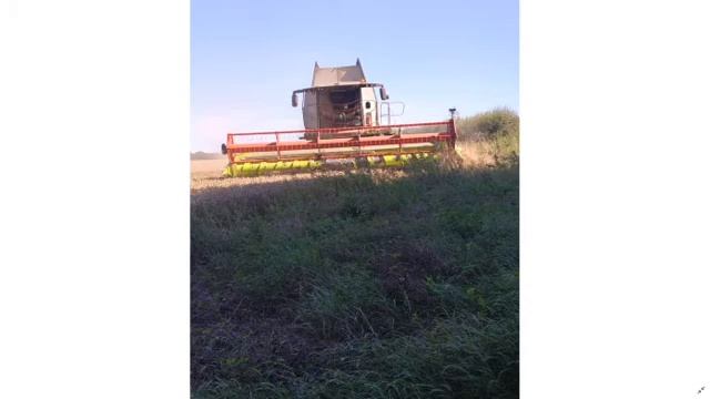 Welcome To Dorset Farming Lads смотреть онлайн