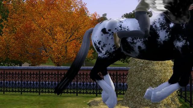 Коллекция анимационных поз для лошадей от Sims3Pets100 (ВЫПУСК 3)