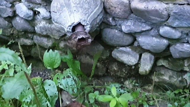 4.08.2023 год."Святой источник Преподобного Андрея Рублёва". смотреть онлайн