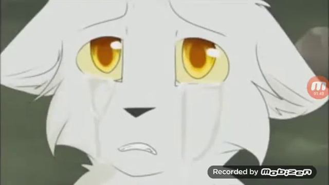 Коты воители история Белогривки и Синей Звезды смотреть онлайн