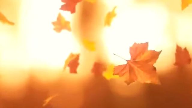 Вечер классической музыки, с Еленой Шпак смотреть онлайн