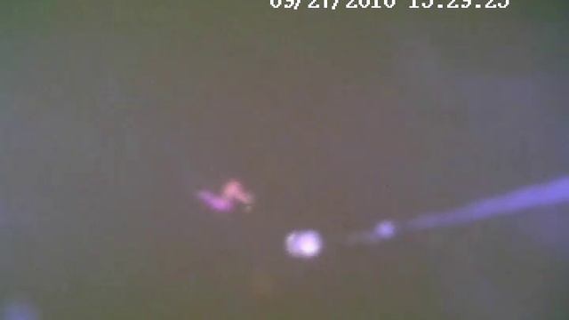 РОТАН ест камеру смотреть онлайн