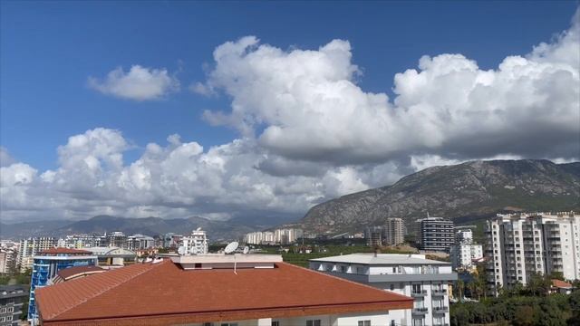 Старый Клен, Наталья Рассказова, автор А. Пахмутова смотреть онлайн