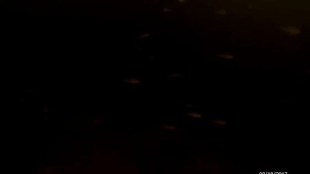 Подводная съемка окуня.Рыбалка на Финском заливе.Test EKEN H9R Ultra HD 4 К WiFi 1080 P 60fps