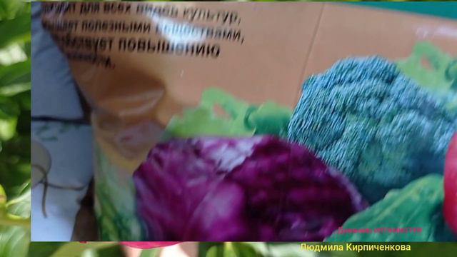 Я НАШЛА ВСЁ В ЭТОМ МАГАЗИНЕ ДЛЯ НАШИХ ЦВЕТОВ #дневникоптимистки #ЛюдмилаКирпиченковацветы #дача смотреть онлайн
