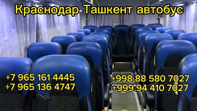 Краснодар Ташкент автобус прямой рейс Ростов Ташкент автобус Мариуполь Ташкент автобус❗️2023 смотреть онлайн